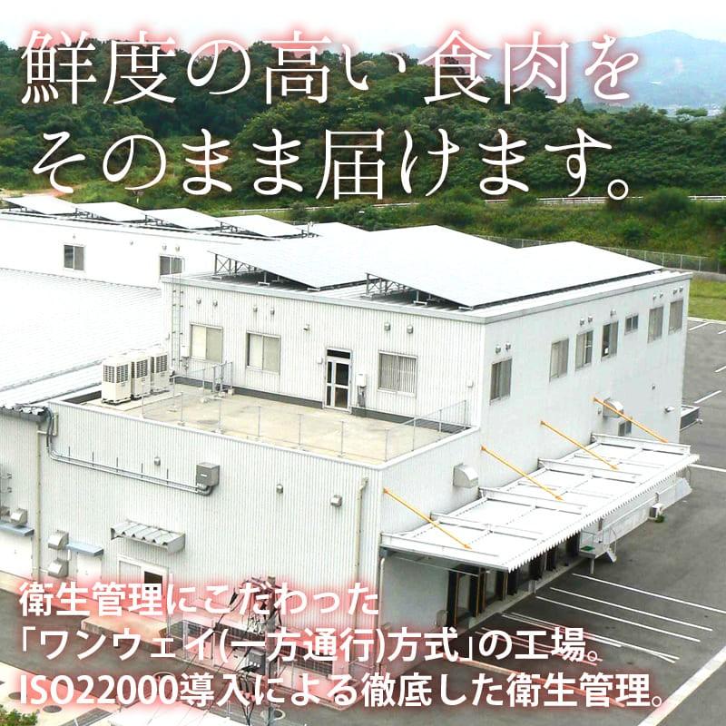 ホルモン 便利なバラ凍結 牛 小腸 10kg(1kg×10) もつ鍋 焼肉 焼き肉 ホルモン焼き バーベキュー うどん 使いたい分だけ使える 鮮度の高い 急速冷凍