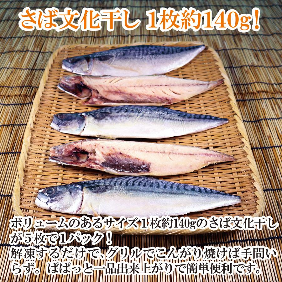 さば　サバ　鯖　焼き魚　さば文化干し　5枚　冷凍　干物　文化干し