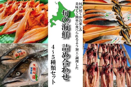 北海道産 旬のお魚 4～5種 お楽しみ詰め合わせ セット