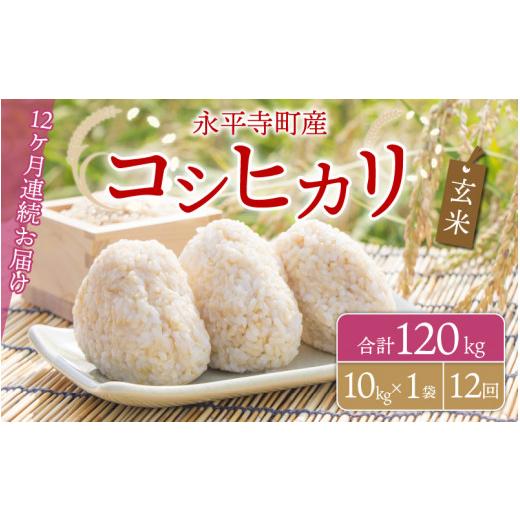 ふるさと納税 福井県 永平寺町  令和5年度産 永平寺町産 コシヒカリ 10kg×12ヶ月（計120kg） [K-033084]