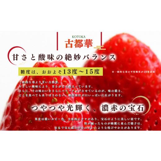 ふるさと納税 奈良県 平群町 平群の古都華 いちご 4Lサイズ （2パック×2ケース） 計4パック 辻本農園 2024年3月発送