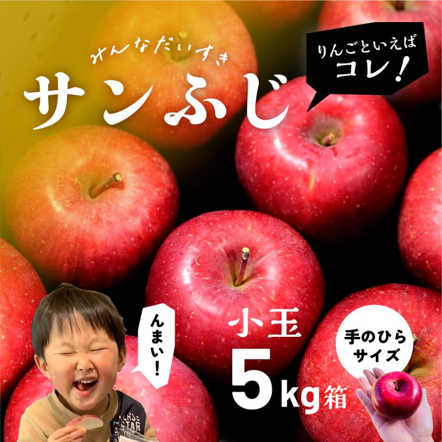 「サンふじ5キロ箱小玉」 減農薬 甘い 小玉 りんご 飴 長野県 安曇野 信州 産地直送 果物 フルーツ 小玉 ギフト 贈答 家庭 5kg