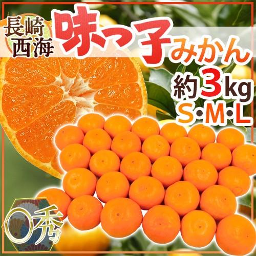 みかん 長崎 西海 ”味っ子みかん” ○秀品 S M Lサイズ 約3kg 最低糖度13度保証 送料無料