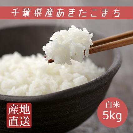 新米 米 お米 白米 5kg 令和5年産 あきたこまち 本州四国 送料無料 アキタコマチ 秋田小町 秋田こまち