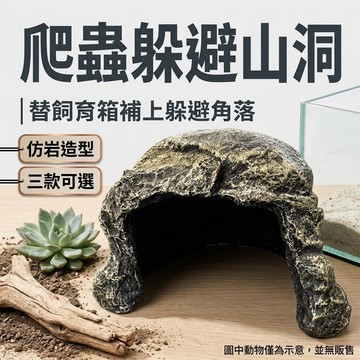 陸龜驛站｜躲避山洞 陸龜 烏龜 爬蟲躲避洞穴 仿真岩石 爬蟲造景缸 鬆獅蜥 鬃獅蜥
