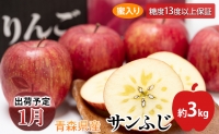 年明け 蜜入り 糖度保証サンふじ 約3kg 