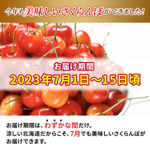 先行予約 横山農園 さくらんぼ800g（200g×4）