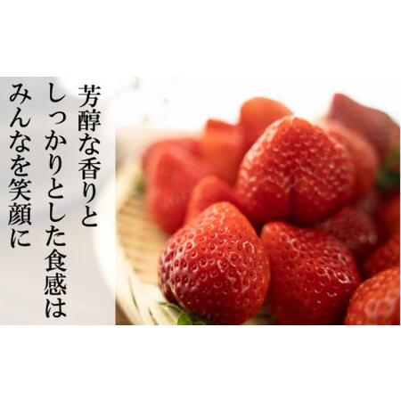 ふるさと納税 いちご 先行予約 錦町産 イチゴ 恋みのり 約250g×4P 3L サイズ 2023年12月上旬より順次発送 配送不可 離島 熊本県錦町