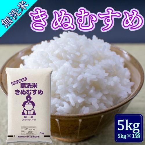 無洗米 5年産 新米 きぬむすめ 5kg (5kg×1袋) 岡山県産 米 送料無料