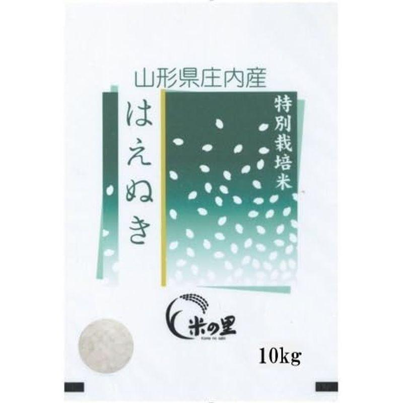 受注精米 山形県産 はえぬき 新米 令和4年産 10kg 「市場に出回らない、隠れた美味を是非。」
