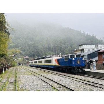 淨零綠色旅遊~阿里山林鐵栩悅號X五感森林療癒.達娜伊谷聽鯝事.木都2.0.｜高鐵來回嘉義三日_26TSCYISEE