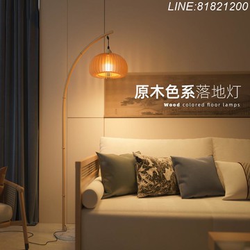 立燈 落地燈 釣魚燈 免運/開票 落地燈禪意氛圍燈客廳茶室復古中古高級感侘寂風釣魚燈臺燈 快速出貨