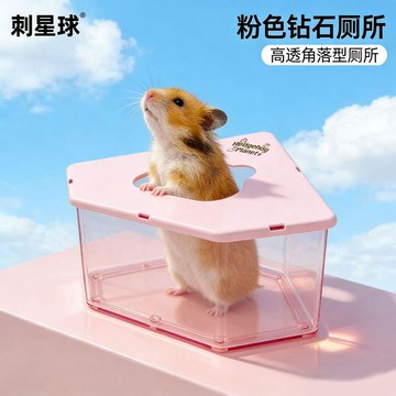 💕在臺出貨🔥新款刺星球防濺防水全透明鑽石金絲熊洗澡浴室廁所倉鼠廁所三角形 倉鼠廁所 倉鼠尿盆 倉鼠浴室 倉鼠浴盆