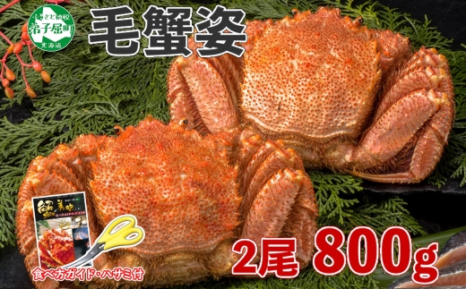 2082. 毛蟹 2尾 計800g前後 食べ方ガイド・専用ハサミ付 カニ かに 蟹 海鮮 ボイル 送料無料 北海道 弟子屈町