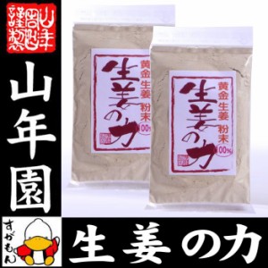 しょうが 粉末 国産 生姜の力 55g×2袋セット 黄金生姜100%の生姜粉末 しょうが 粉末 生姜力 ギフト 贈り物 健康 ダイエット お土産 送料