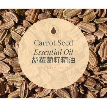 【MW精油工坊】胡蘿蔔籽精油 Carrot Seed Essential Oil 10ml