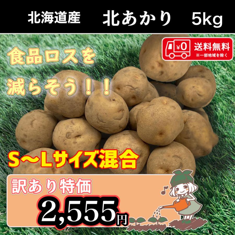 送料無料 北海道産 北あかり 訳あり 食品ロス S〜Lサイズ混合 5kg じゃがいも 馬鈴薯