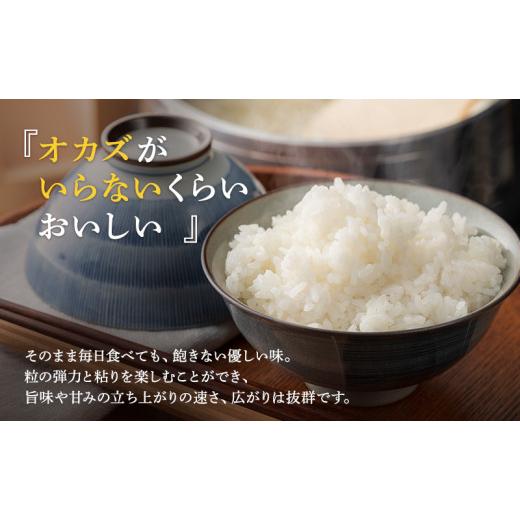 ふるさと納税 福井県 若狭町 無洗米 令和５年産 いちほまれ 10kg 福井 高級ブランド米 お米 おこめ 米 コメ こめ 白米 精米 ご飯 ごはん 福井県 [No.5580-0724…