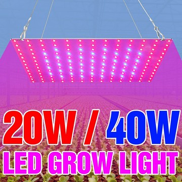 ????LED植物燈全光譜110V量子板植物生長燈220V多肉補光燈40W家用室內蔬菜花卉種植燈園藝照明種子溫室培育
