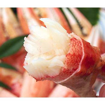 カニ爪 蟹爪 送料無料 ズワイガニ爪 2Ｌ 1ｋｇ前後 ずわいがに ズワイ蟹 ずわい蟹