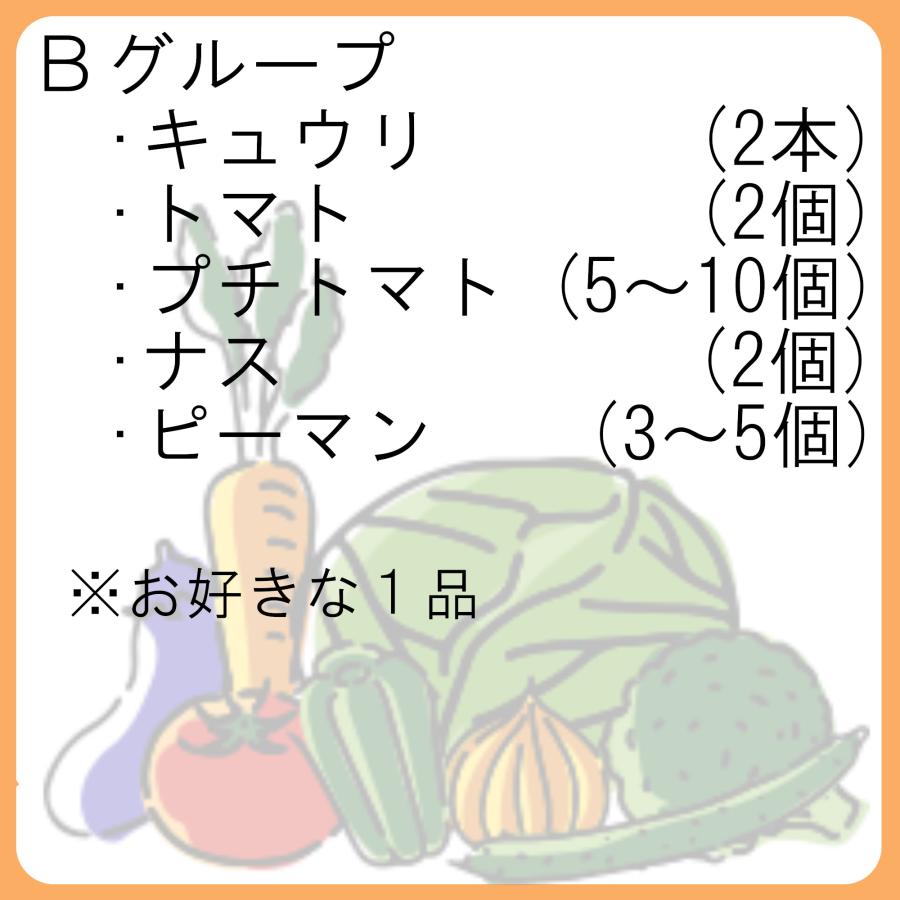 中身を選べる野菜詰め合わせ 10品目入 中身のおまかせも可能