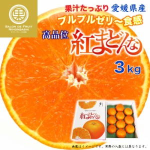 [予約 12月21日から12月25日の納品] 紅まどんな 3kg 愛媛県 化粧箱  冬ギフト お歳暮 御歳暮