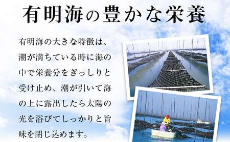 有明海産一番摘み　大丸ボトル味海苔　8切80枚　8本セット