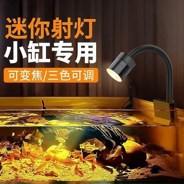 ✅品質把關✅USB小型缸專用迷你射燈南美魚缸造景魚缸夾燈溪流缸魚缸燈led燈