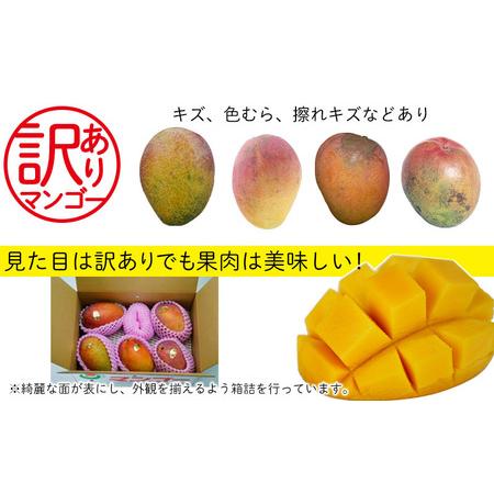 ふるさと納税 名護市完熟マンゴー　約1.5kg（3〜6玉入） 沖縄県名護市