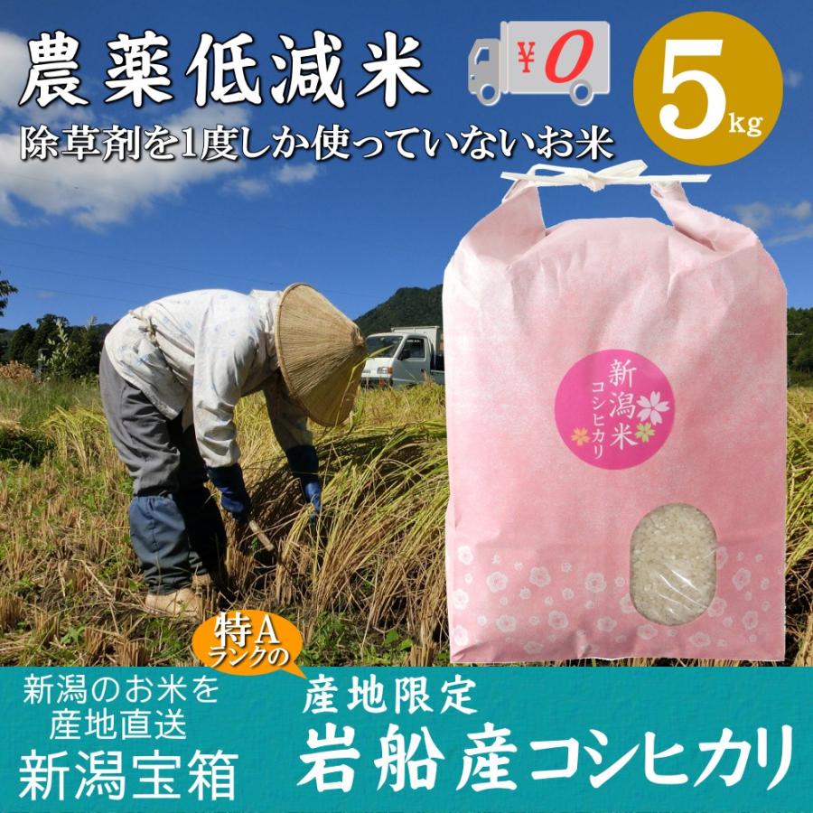 新潟県岩船産 コシヒカリ 5kg×1袋 5kg 除草剤を1度しか使っていない米 お米 白米 特A 送料無料