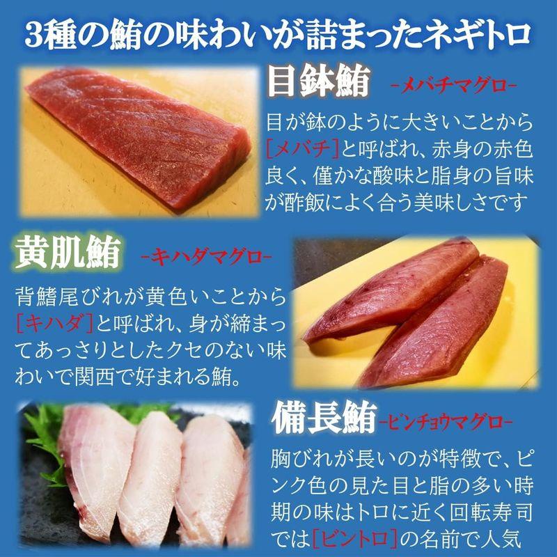 kakiya ネギトロ ・マグロたたき 1kg (500g×2パック) ＋海鮮珍味のオマケ付き 無添加 (3種の鮪使用  大容量 国産) 簡