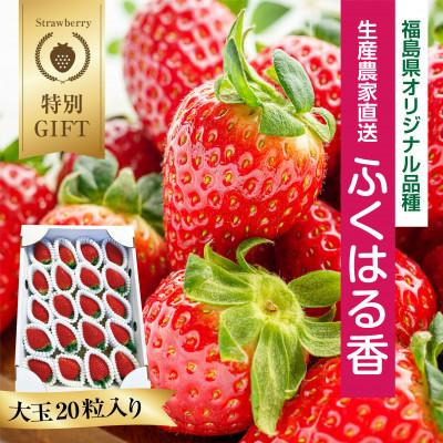 ふるさと納税 いわき市 2024年1月以降順次発送　いわき市産いちご　ふくはる香　大玉20粒入り1箱