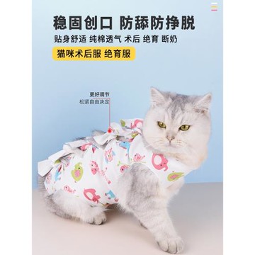 貓咪絕育服母貓絕育衣服手術服斷奶柔軟薄款系帶術后貓咪防舔防咬
