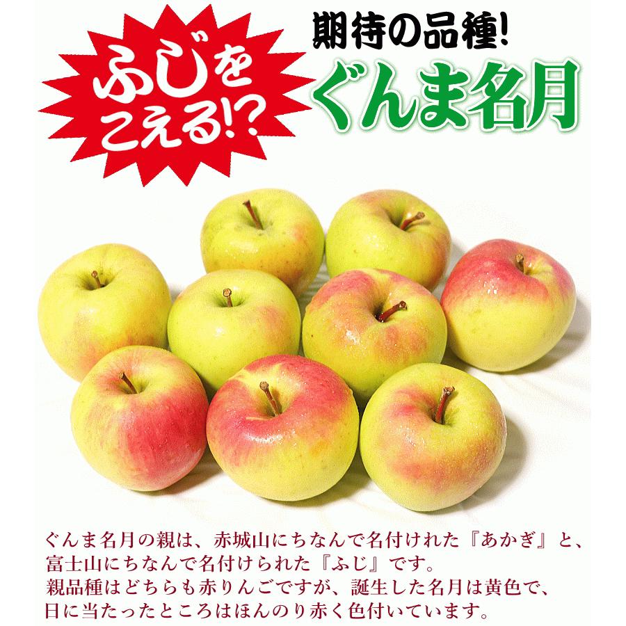 クーポンで200円引き！あすつく 青森 りんご 3kg箱 ぐんま名月 送料無料 家庭用 訳あり 青森 リンゴ 訳あり 3キロ箱★名月 家訳 3kg箱