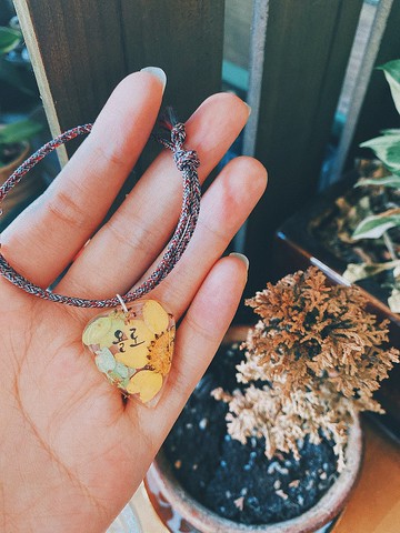 【客製化禮物】透明菊花拼色押花結他撥片彩繩