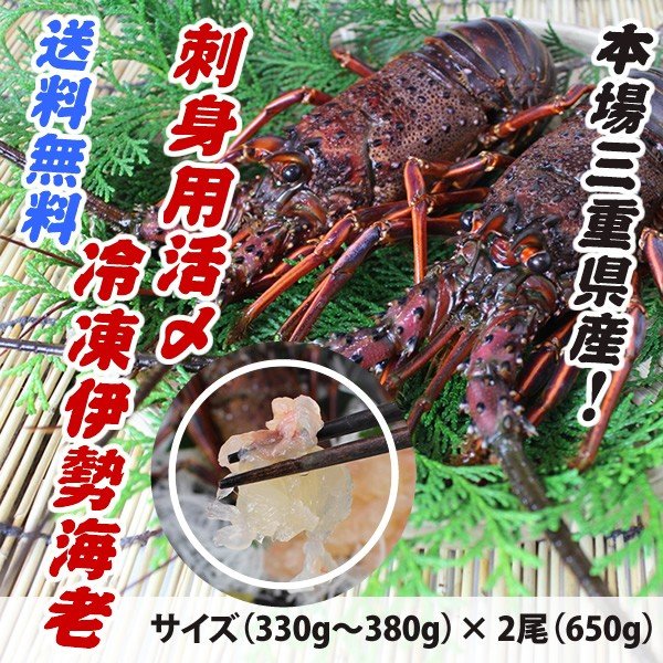 送料無料　刺身用冷凍伊勢海老　大きめサイズ　650ｇ　2尾入（活〆冷凍）