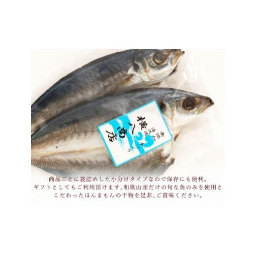 ふるさと納税 和歌山県 九度山町 和歌山産 釜揚げしらす300g＆干物詰め合わせセット 4種10品入り