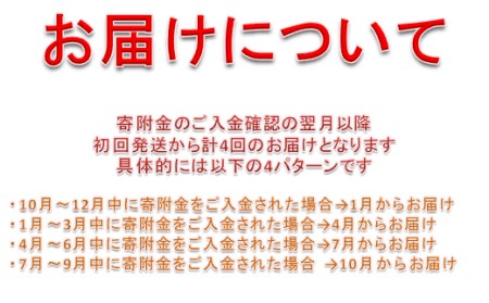 年4回いくら定期便 500g 250g × × 4回 極上の大粒いくら シラリカいくら 鮮度維持にこだわった極上品 いくら 醤油漬け 鮭卵 鮭いくら 小分け 海鮮 送料無料 人気 ランキング 北海道 白糠町 _K065-1041