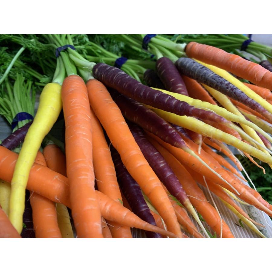 フレッシュグループ淡路島の香るハーブと彩り野菜セット　季節の１２〜１４種の厳選こだわり詰合わせ