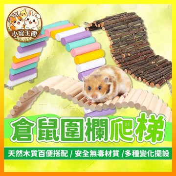 【小寵王國】倉鼠圍欄 倉鼠爬梯 彩色木爬梯 蘋果木圍籬 造景拱橋 倉鼠樓梯 倉鼠玩具 倉鼠造景 小寵用品