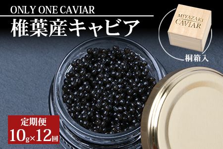 定期便 HEIKE CAVIAR  チョウザメ キャビア