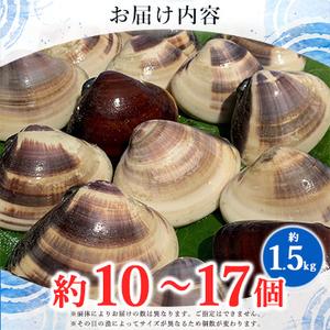 ふるさと納税 天然はまぐり約1.5kg (千葉県産) 千葉県いすみ市