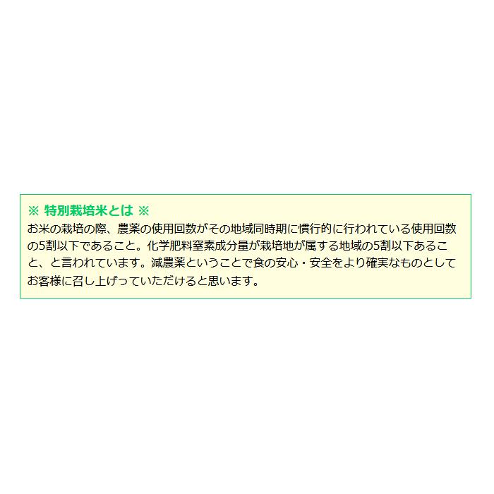 新米 お米 玄米 10kg コシヒカリ 5kg×2 特別栽培米 7.5割農薬減 兵庫県 丹波篠山産 特A 一等米 送料無料 令和5年産