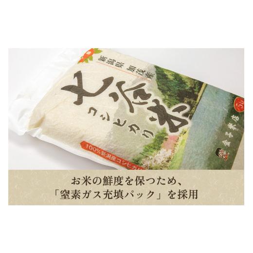 ふるさと納税 新潟県 加茂市 老舗米穀店が厳選 新潟産 従来品種コシヒカリ「七谷米」無洗米5kg 窒素ガス充填パックで鮮度長持ち 金子…