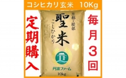 京都府産コシヒカリ 玄米 10kg×3回 3か月 定期便 お米 米 玄米 精米 こしひかり 国産 京都 綾部