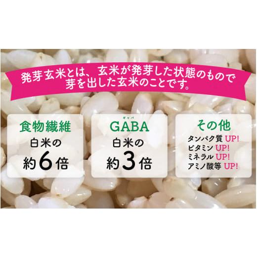 ふるさと納税 福井県 坂井市 無農薬コシヒカリ特選 真空パック5kg〜玄米以上の栄養価と白米に近い柔らかさ〜【2023…