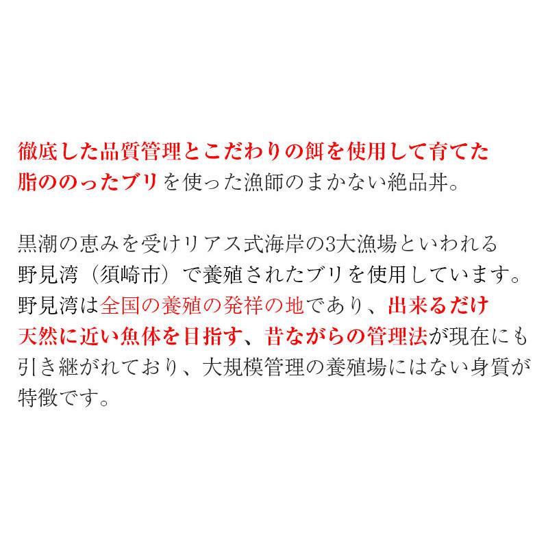 土佐の海鮮丼4種12袋セット（鯛、サバ、カンパチ、ブリ 各3袋）ぶっかけ漬け丼 宇佐もん工房 お歳暮 のし対応可