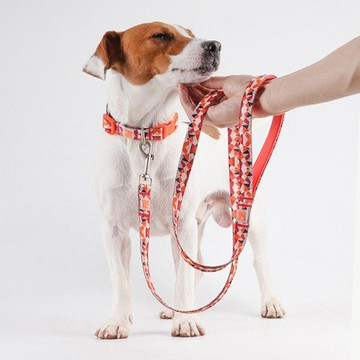 【VitalWave 元氣光波】鑽石璀璨套裝 (寵物頸圈+寵物牽引繩)