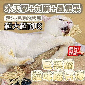 貓咪磨牙棒 超大加粗 貓薄荷 磨牙棒 蟲癭果 磨牙玩具 啃咬棒 貓自嗨玩具 木天蓼 天然草本 貓咪牙棒 QJ2481