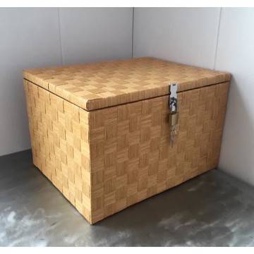 帶鎖收納箱家用大容量儲物柜學生宿舍零食衣服整理可以上密碼盒子